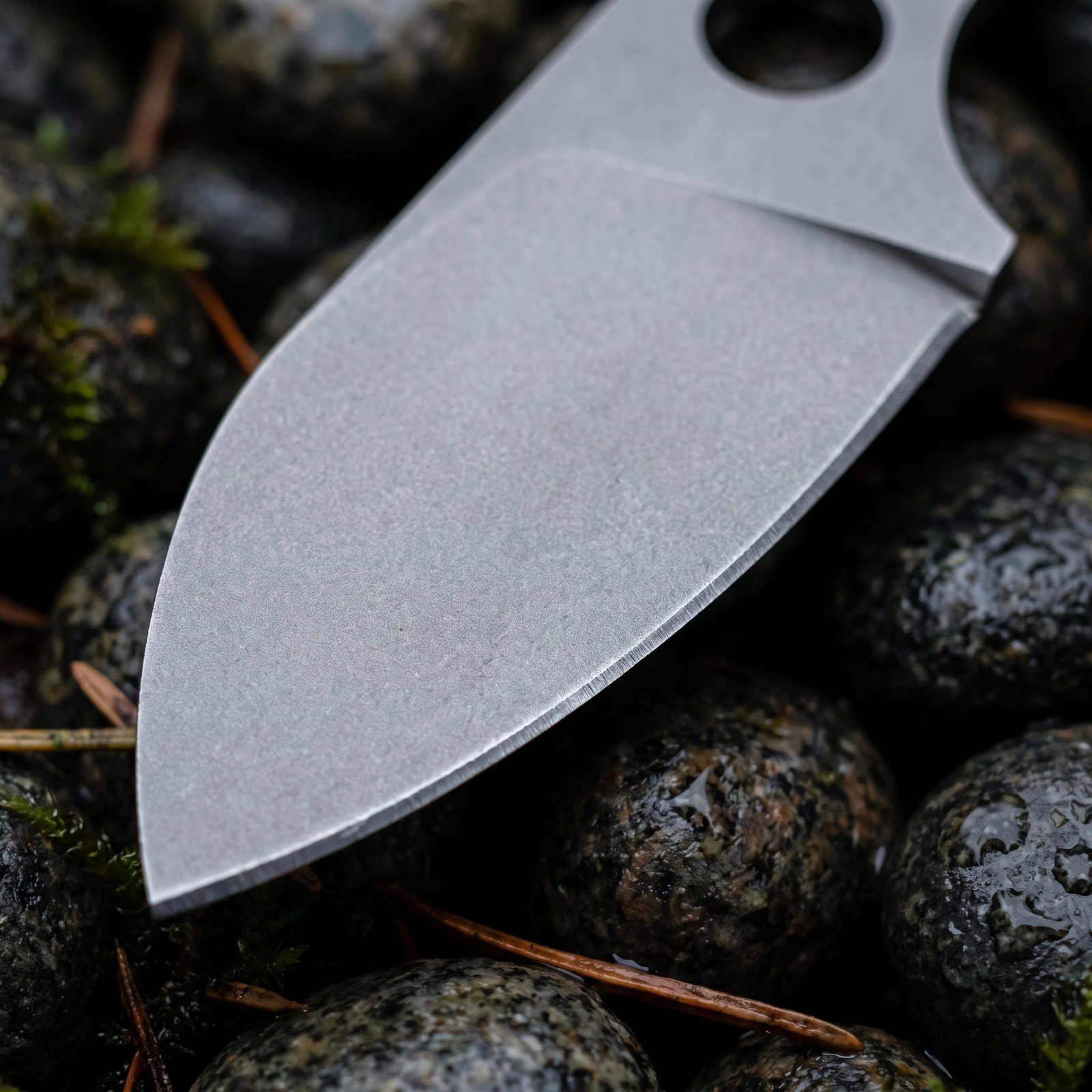 Stainless Steel EDC Fixed Blad - Edc Carry All recension och pris